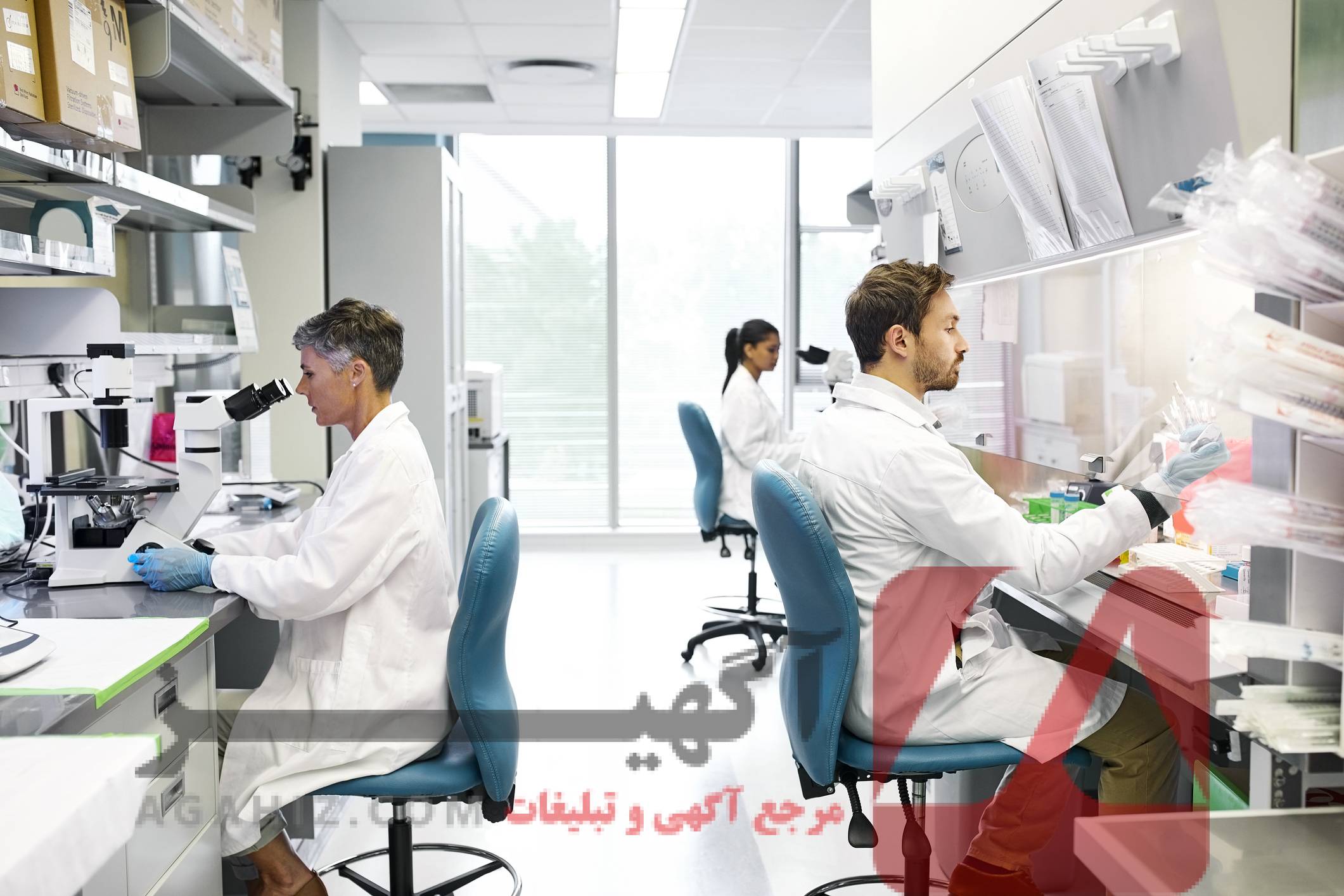 تحصیل پزشکی در دانشگاه‌های معتبر