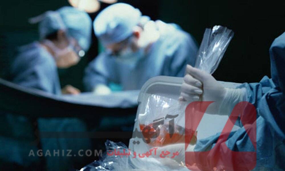 خرید مدرک پزشکی قانونی برای فعالیت در مراکز درمانی