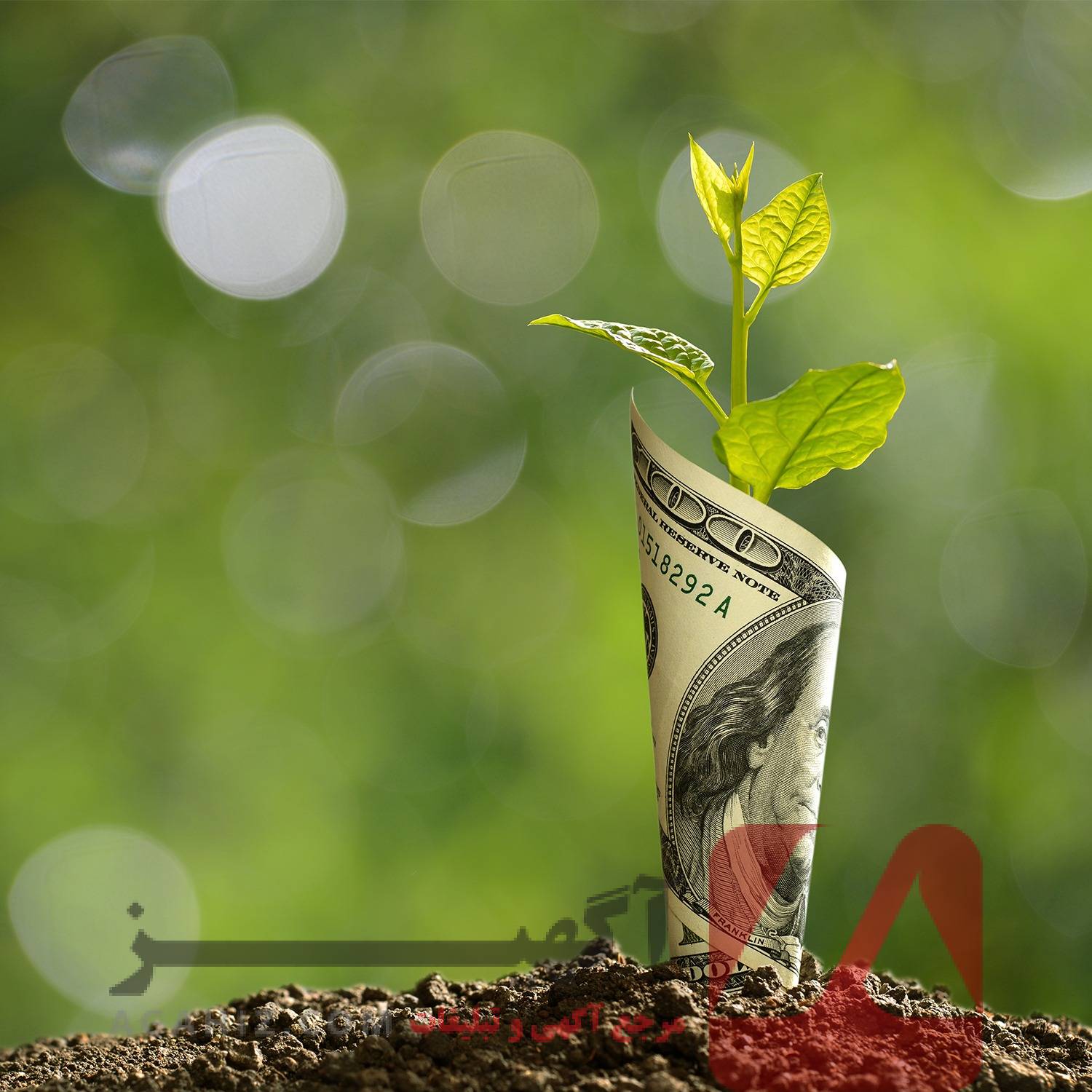 طلسم افزایش سود در تجارت و سرمایه‌گذاری