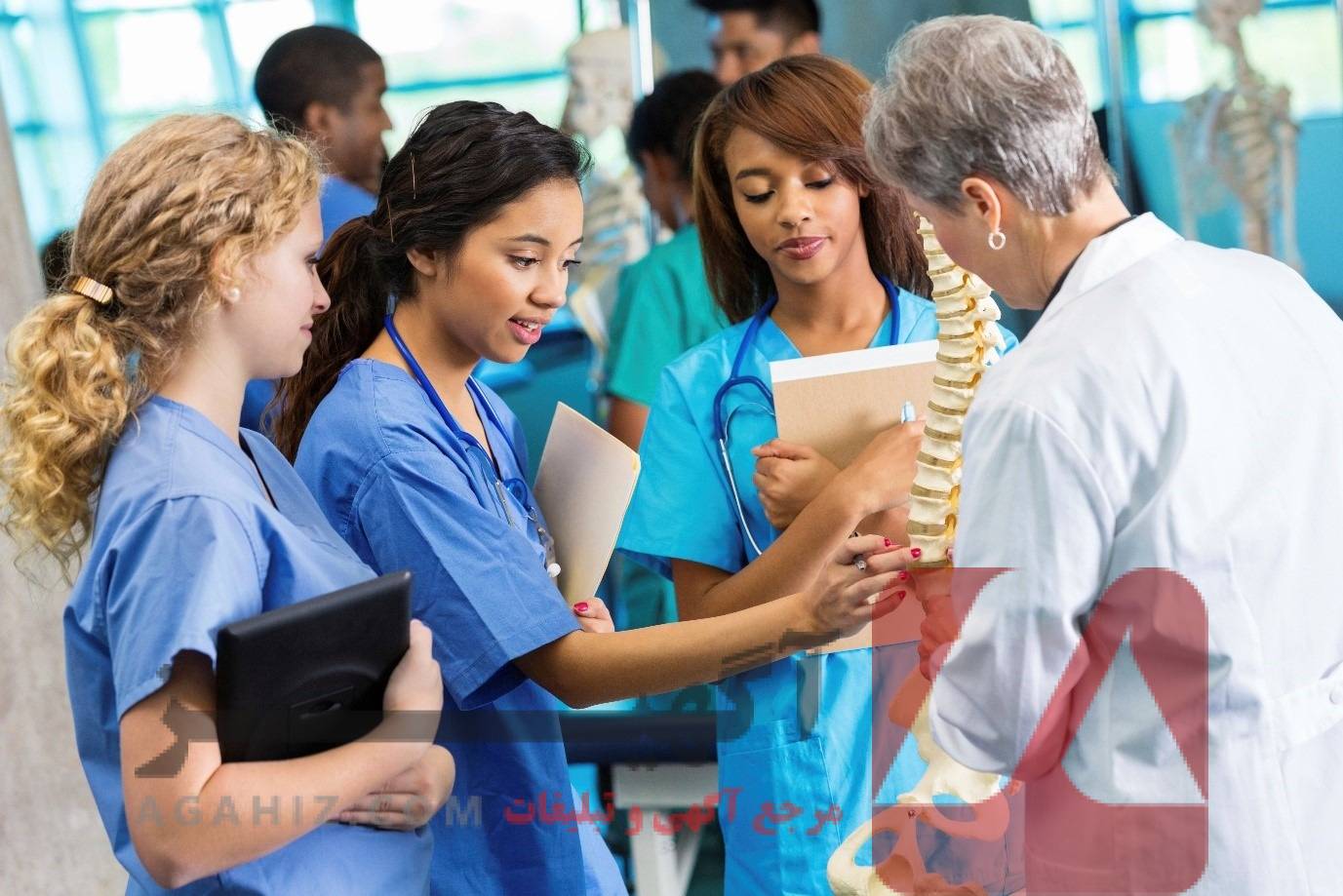 پذیرش بدون کنکور در دانشگاه‌های معتبر دولتی و آزاد