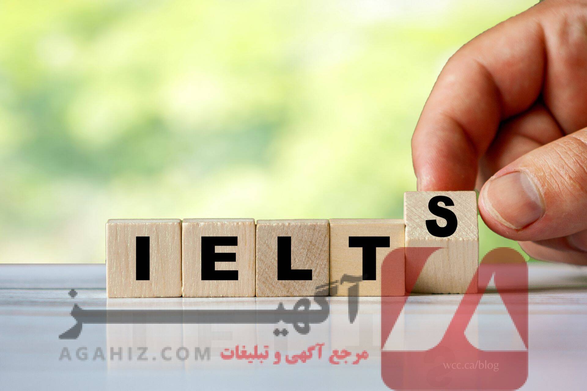 چرا خرید مدرک ایلتس برای دانشگاه‌های معتبر بی‌فایده است؟