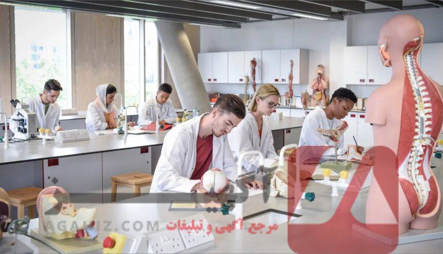 چگونه از مدارس بین‌المللی به پزشکی برویم؟