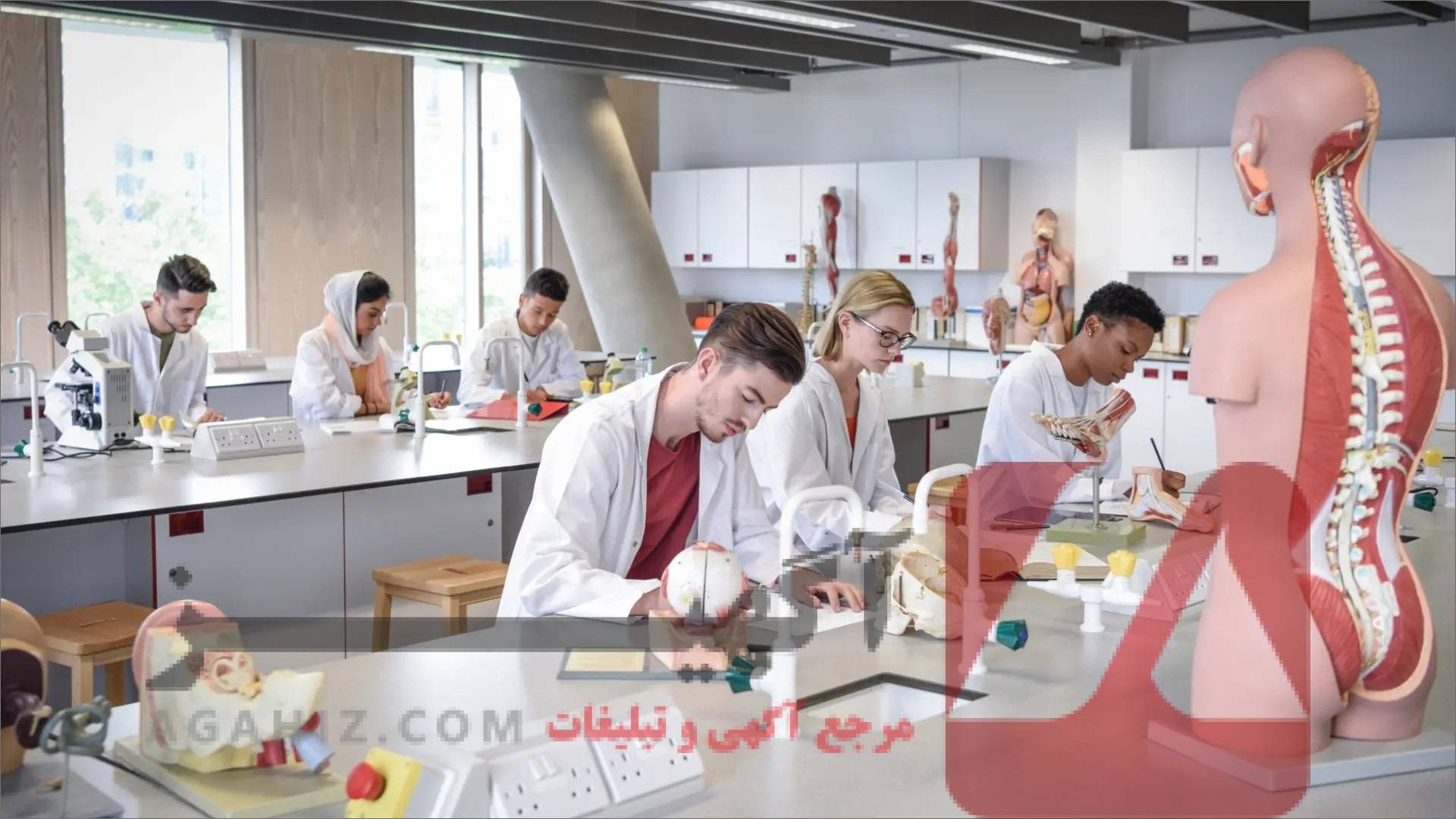 چگونه از مدارس بین‌المللی به پزشکی برویم؟