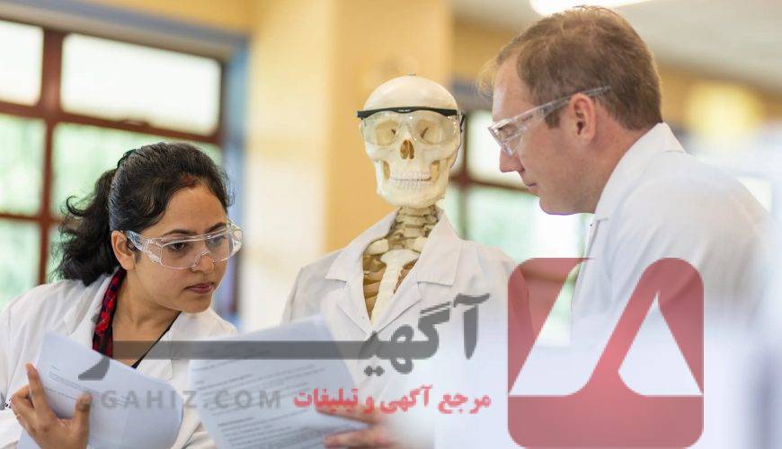 صندلی پزشکی آزاد ویژه افراد فاقد رتبه