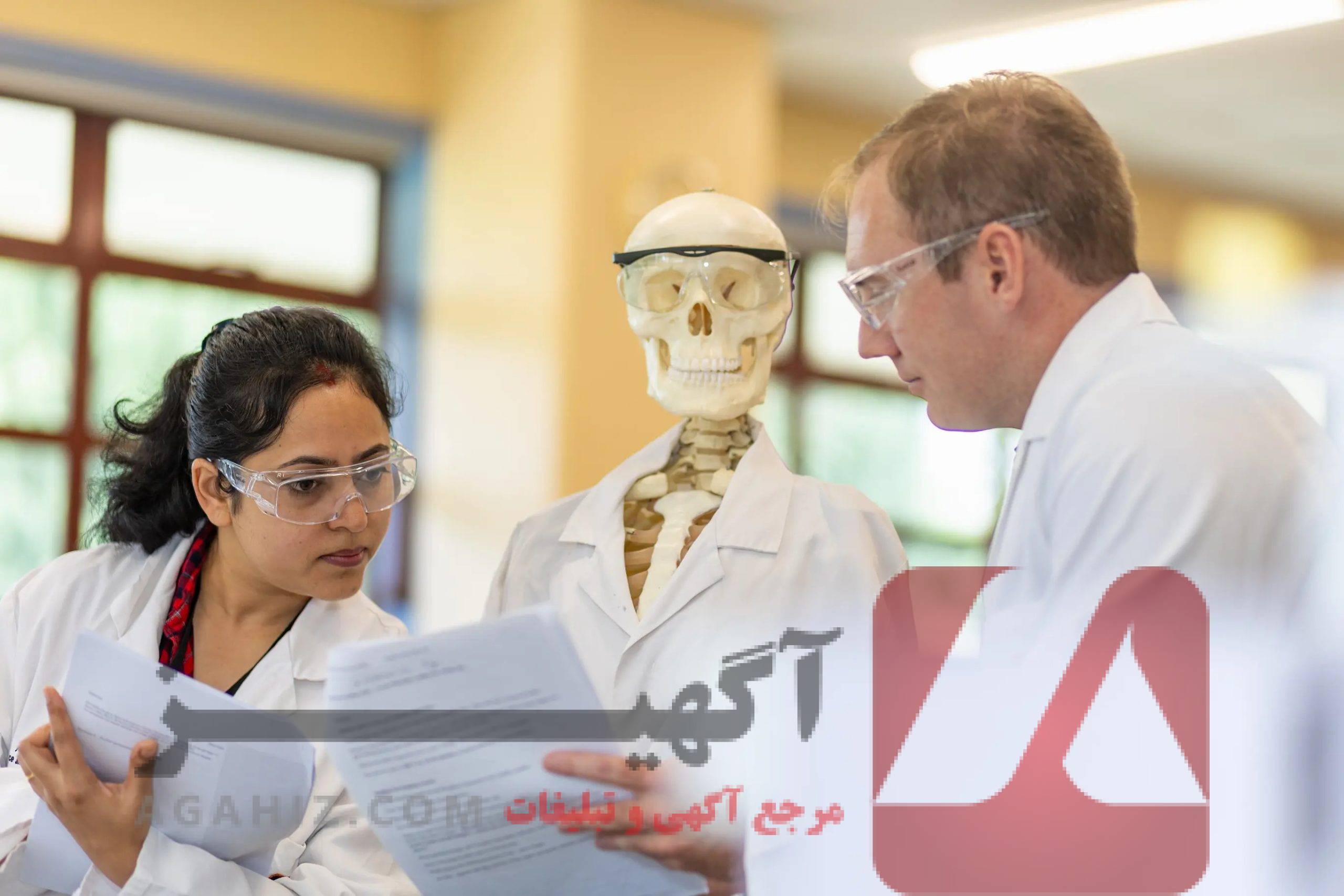 صندلی پزشکی آزاد ویژه افراد فاقد رتبه