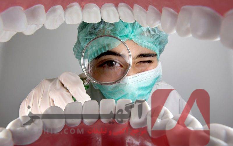 صندلی دندانپزشکی پردیس بین‌الملل ویژه پاییز