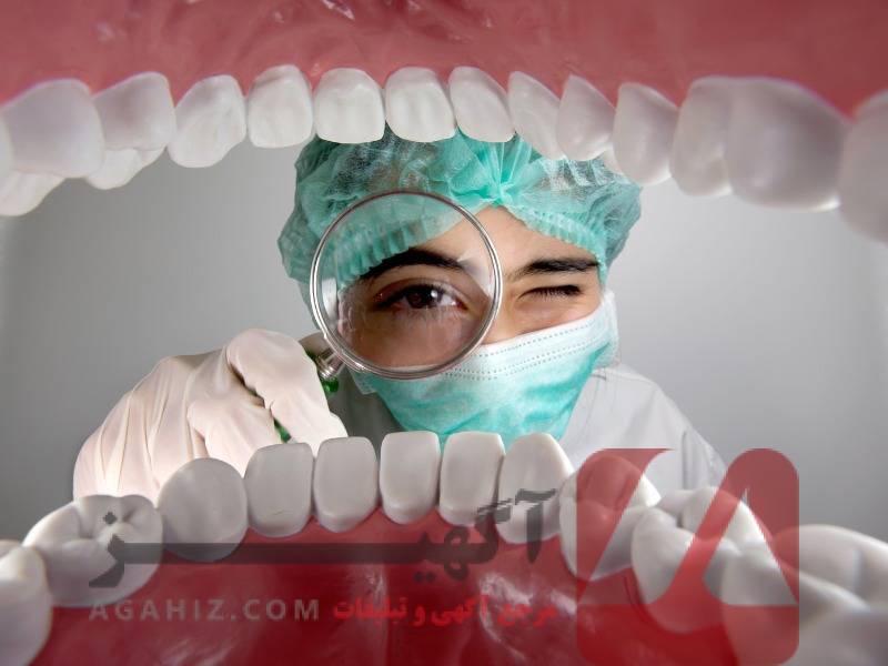 صندلی دندانپزشکی پردیس بین‌الملل ویژه پاییز